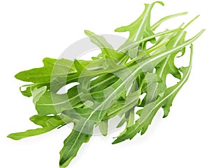 Rucola