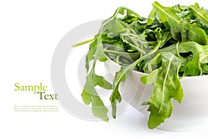 Rucola or arugula, fresh rocket salad in a white ceramic bowl,