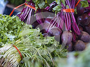 Rucola and beetroots