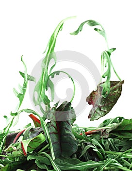 Rucola and Chard salad lightness concept photo