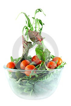 Rucola, Chard and tomatoes salad lightness concept photo