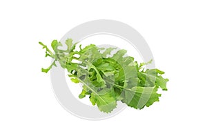 Rucola isolated on a white background