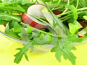 Rucola salad