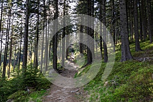 Rudawy Janowickie Landscape Park. Mountain range in Sudetes in Poland. View from Mala Ostra hill