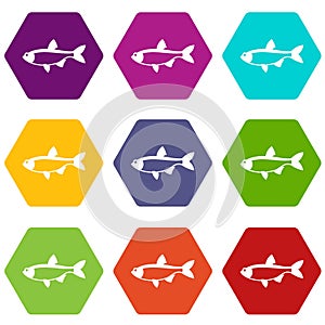 Rudd fish icon set color hexahedron