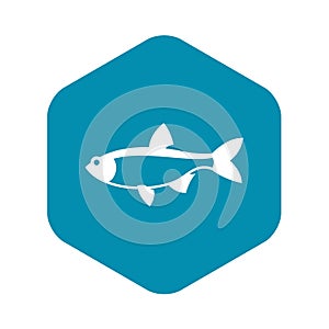 Rudd fish icon, simple style