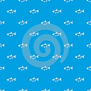 Rudd fish pattern seamless blue