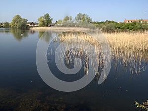 Rudd lake, Little Paxton nature reserve