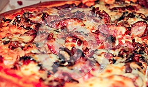 Ruddy pizza close-up with salami and cheese. A delicious and quick snack