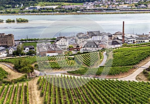 Rudesheim am Rhein, Hesse, Germany - a winemaking town on the Rhine.