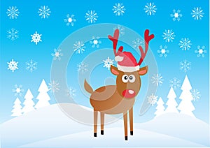 Rudolf photo