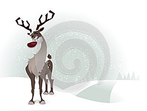 Rudolf the reindeer photo