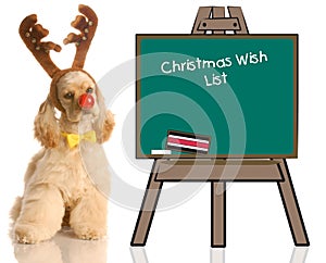 Rudolph dog with wish list