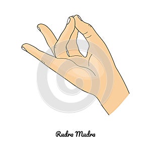 Rudra Mudra / Gesture of Solar Plexus. Vector