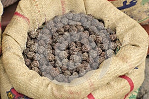 Rudraksha tree fruits nuts in sack, Asia market, India photo