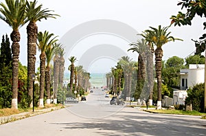 Rue Dag Hammarskjoeld Carthage Tunisia photo
