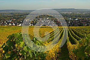 Ruedesheim Eibingen Abbey 02