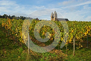 Ruedesheim Eibingen Abbey