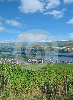 Ruedesheim am Rhein in Rheingau,Hesse,Germany