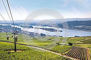 Ruedesheim in the Rheingau