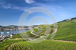 Ruedesheim in the Rheingau