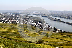 Ruedesheim and Rhine