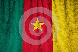 Ruffled Flag of Cameroon Blowing in Wind