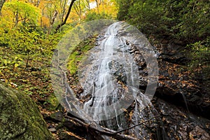 Rufus Morgan Falls