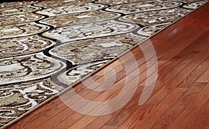 Rug Cover Hardwood Floor photo