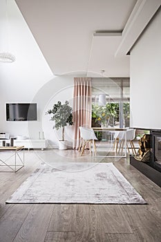 Rug on hardwood floor in a stylish, open space living room inter