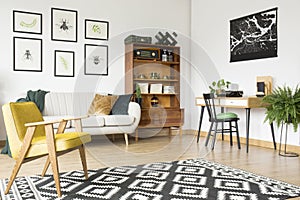 Rug in vintage flat interior