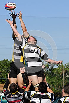 Rugby Action