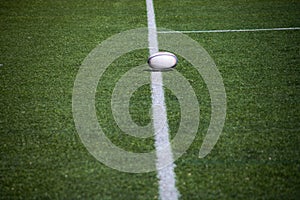 Rugby ball on lush green field, ready for action.