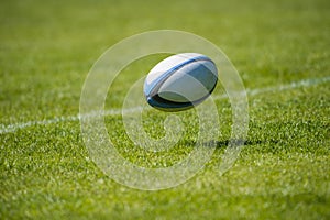 Rugby ball over the grass in the stadium