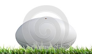 Rugby Ball Resting On Grass