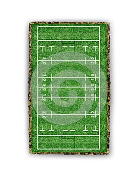 Rugby field. view from above