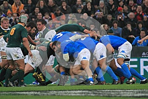 Rugby match Italy vs South Africa - scrummage