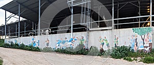 Rugby mural on cowshed at Kibbutz Yizreel