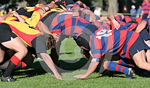 Rugby Scrum, club rugby action