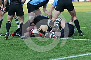 Rugby union