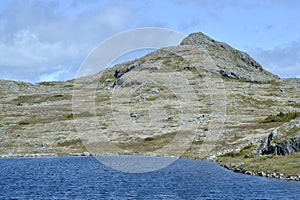 Rugged bedrock hill next to lakeshore in Newfoundland