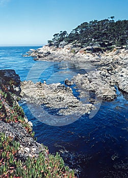 Rugged California Coastline on the Monterey Peninsula