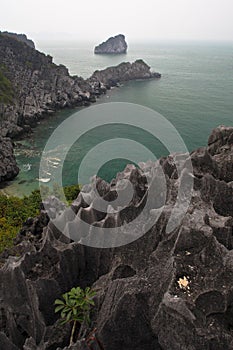 Rugged Cliff on Monkey Island in Halong Bay