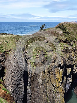 Rugged cliffs at Yaquina Head