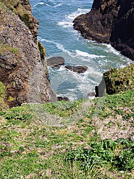 Rugged cliffs at Yaquina Head