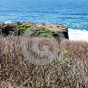 Rugged cliffs at Yaquina Head