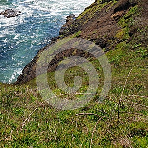 Rugged cliffs at Yaquina Head