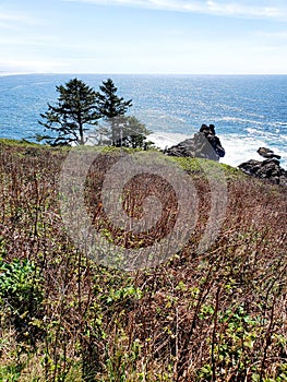 Rugged cliffs at Yaquina Head