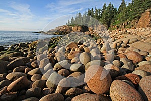 The rugged coast of Acadia National Park, Maine.