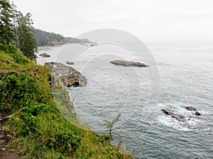 The rugged coast of Vancouver Island along the famous west coast trail hike, in British Columbia, Canada.